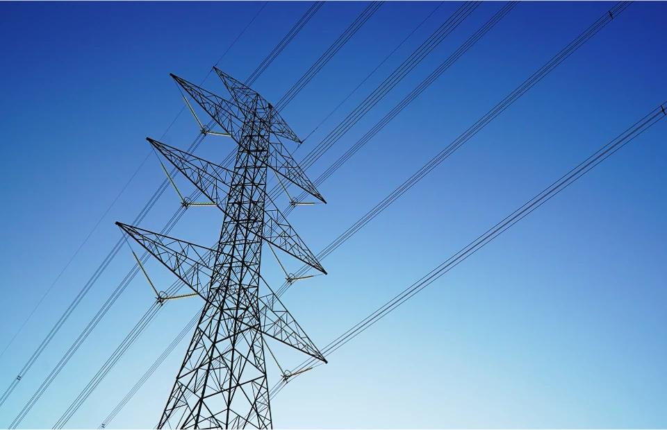 Figma ipsum component variant main layer