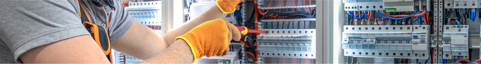 categories section heading background