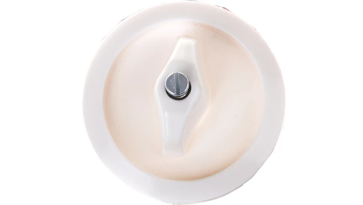 Berker 1930/GLASSERIE/PALAZZO Plakietka do łącznika obrotowego śnieżnobiała 1647