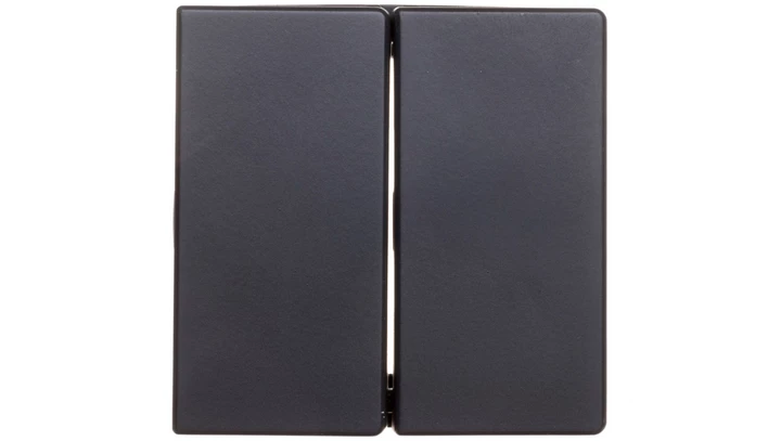 Berker Q.1/Q.3 Klawisze antracyt/ aksamit 16236086