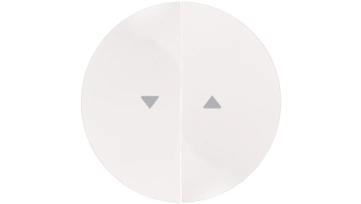 Berker R.1/R.3 Klawisz podwójny do łącznika żaluzjowego z symbolem /strzałka/ biały 16252089