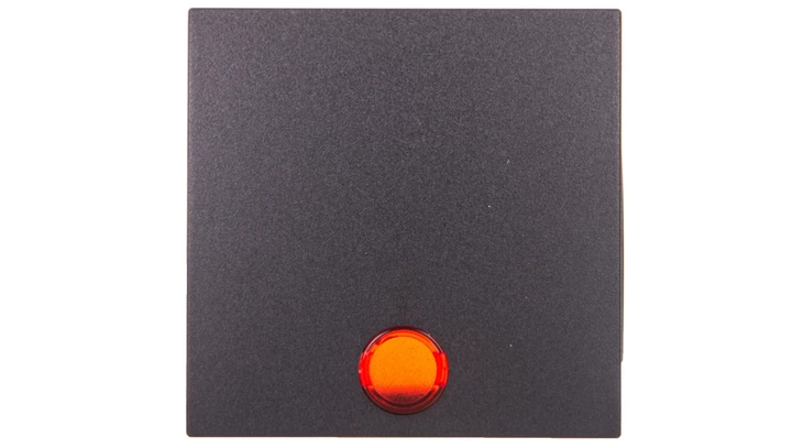 Berker B.1/B.3/B.7 Glas Klawisz pojedynczy do łącznika z 5 dołączonymi soczewkami antracyt 16211606