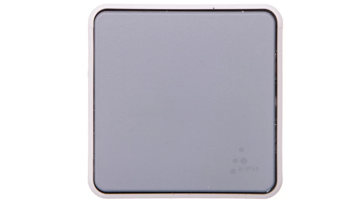 PLEXO55 Przycisk przełączny szary 069541