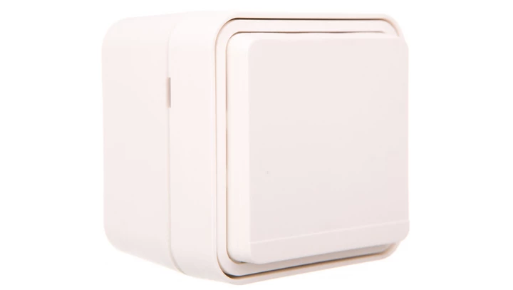 Berker W.1 Gniazdo pojedyncze z/u kompletne IP55 biały 6768813512