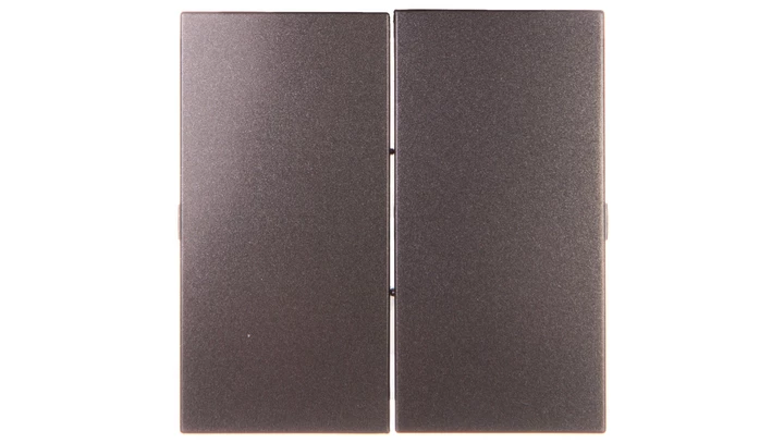 Simon 54 Klawisz podwójny do SW7/2XM i SW6P1M antracyt DKW9/48