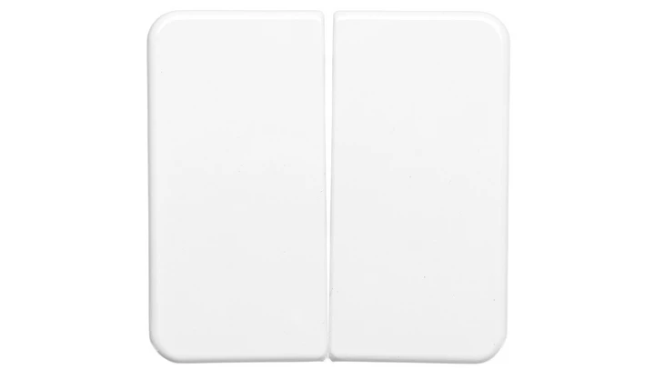 Berker IP44 Klawisz podwójny p/t bryzgoszczelne IP44 biały 53155299