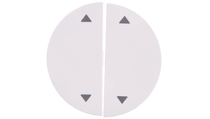 Berker R.1/R.3 Klawisze z nadrukiem symbolu strzałki biały połysk 16442089