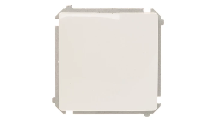 Simon Basic Łącznik jednobiegunowy, szybkozłącza, biały BMW1.01/11