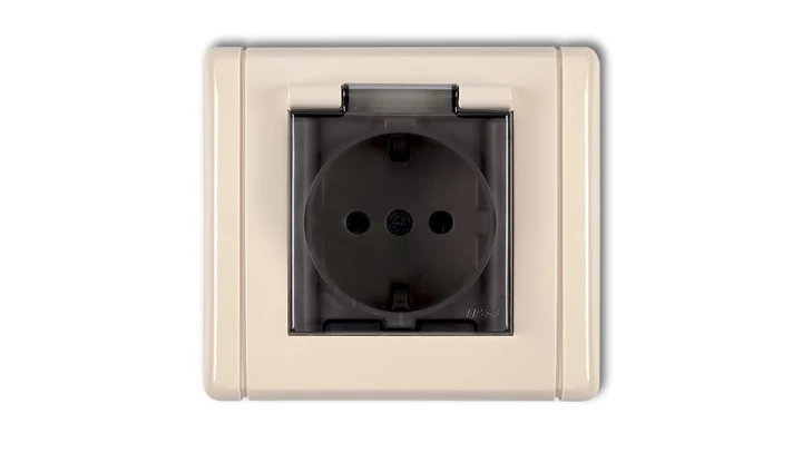 FLEXI Gniazdo bryzgoszczelne z/u SCHUKO (klapka dymna) beżowy 1FGPB-1sdp