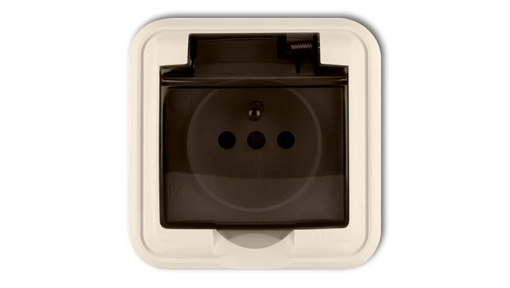 LIZA Gniazdo bryzgoszczelne z/u (klapka dymna) beżowy 1GPH-1zd