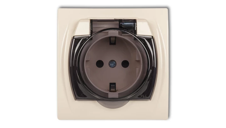 LOGO Gniazdo bryzgoszczelne z/u SCHUKO (klapka dymna) beżowy 1LGPB-1sdp