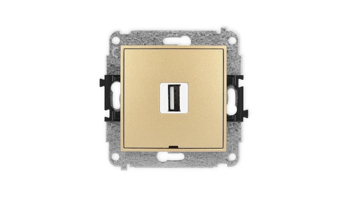 ICON Mechanizm gniazda pojedynczego USB A-A 2.0, bez pola opisowego złoty 29IGUSBBO-1