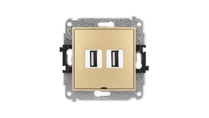 ICON Mechanizm gniazda podwójnego 2xUSB A-A 2.0, bez pola opisowego złoty 29IGUSBBO-2