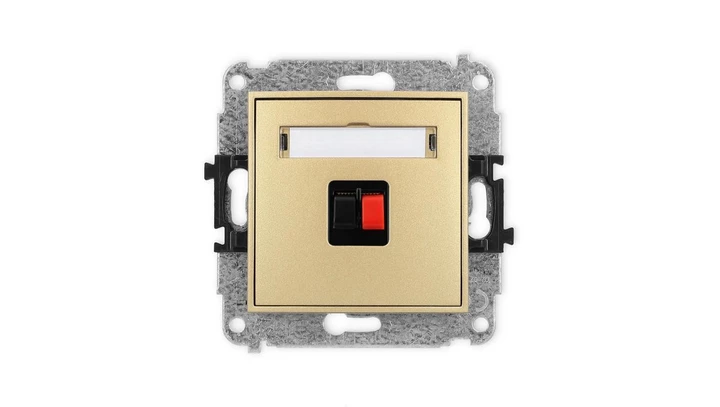 ICON Mechanizm gniazda głośnikowego pojedynczego złoty 29IGG-1