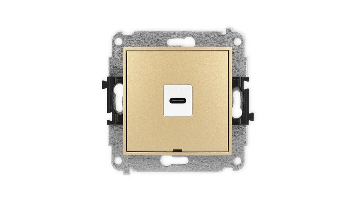 ICON Mechanizm gniazda pojedynczego 1xUSB C-C, bez pola opisowego złoty 29IGUSBBO-7