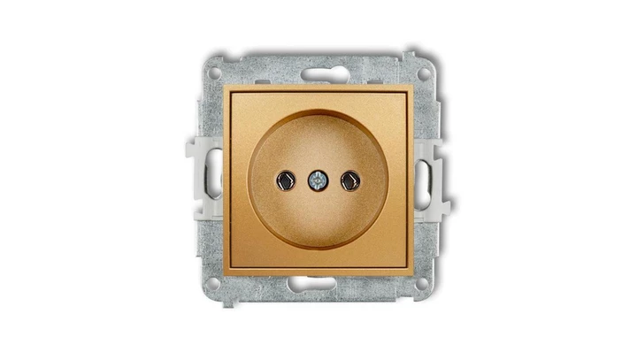ICON Mechanizm gniazda pojedynczego bez uziemienia 2P (bez przesłon torów prądowych) złoty 29IGP-1