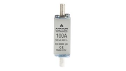 Wkładka bezpiecznikowa NH000 100A gG 500V WT-000 1115282113T