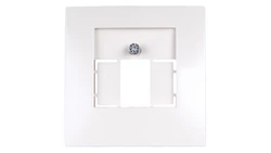 Berker/B.Kwadrat Element centralny gniazda TAE i głośnikowego kremowy 5310338982