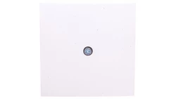 Berker S.1/B.3/B.7 Glas Element centralny do przyłącza kablowego i gniazda VDo biały 10198989