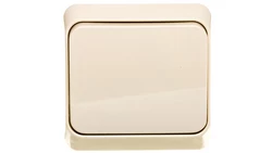 Prima Łącznik 1-biegunowy beżowy IP20 WNt-100P WDE001110