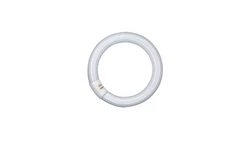 Świetlówka kołowa G10q 40W 840 4000K L40W/840C 4050300014845