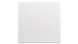 Berker Q.1 Klawisz pojedynczy do łącznika klawiszowego śnieżnobiały aksamit 16206089