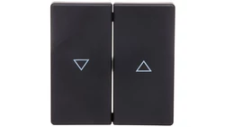 Berker Q.1/Q.3 Klawisze z nadrukiem symbolu /strzałka/ antracyt/ aksamit 16256086