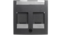 Berker B.1/B.3/B.7 Glas Element centralny podwójny z zasuwami chroniącymi przed kurzem z polem opisowym antracyt 11811606