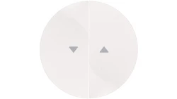 Berker R.1/R.3 Klawisz podwójny do łącznika żaluzjowego z symbolem /strzałka/ biały 16252089