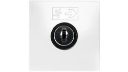 MOSAIC Wyłącznik na klucz /2moduły/ biały 076630