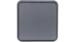 Berker W.1 Gniazdo pojedyncze z/u moduł IP55 szary 6768803515