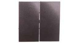 Simon 54 Klawisz podwójny łącznika schodowego do SW6/2M antracyt DKW6/2/48