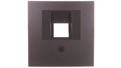 Berker/B.1/B.3/B.7 Glas Płytka czołowa pojedyncza do gniazda przyłączeniowego UAE antracyt 14071606