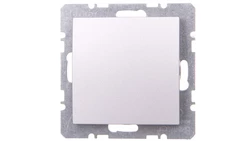 Berker/B.1/B.3/B.7 Glas Zaślepka z elementem centralnym aluminium 10091404