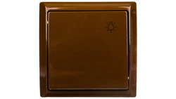 BIS Przycisk /światło/ brązowy ŁN-5B/24