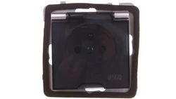 AS Gniazdo bryzgoszczelne z/u IP44 z przesłonami klapka przezroczysta srebro GPH-1GZP/m/18/d