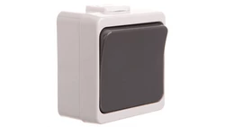 JANTAR-bis Łącznik krzyżowy n/t IP44 szary WNT-8J-b