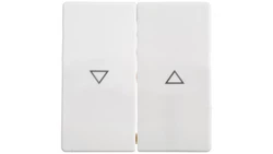 Berker/Q.1 Klawisz 2-krotny z nadrukiem symbolu strzałka biały aksamit 16256089