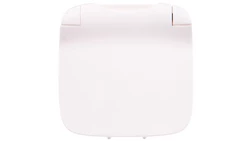 VALENA ALLURE Plakietka gniazda pojedynczego 2p+z z klapką biały 754865