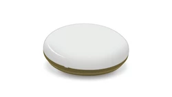 Plafon SUN n/t max. 18W AC 230V 50Hz E27 PL-SUN/E27 złoty