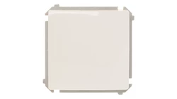 Simon Basic Łącznik jednobiegunowy, szybkozłącza, biały BMW1.01/11