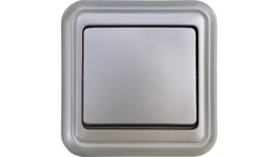 LIZA Łącznik jednobiegunowy srebrny 5WPT-1