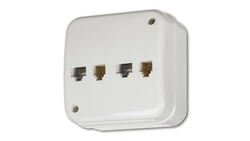 LIZA Gniazdo teleinformatyczne n/t 2xRJ11, 4-stykowe + 2xRJ45, kat. 5e, 8-stykowe biały GNTK-4
