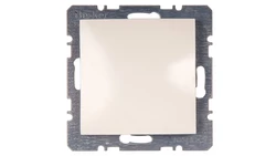 Berker/B.Kwadrat Zaślepka z elementem centralnym kremowa 10098982