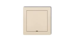 Ramka pośrednia z zaślepką beżowy 1DRPZ