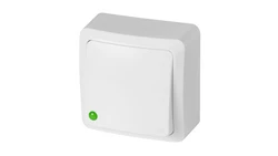 BERG Łącznik zwierny światło n/t 10AX IP20 biały 3713-00