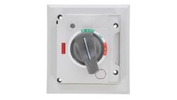 Napęd obrotowy na wyłącznik TD100-160 DH1-S