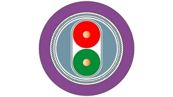 Kabel SIMATIC NET PROFIBUS FC standard 2-żyłowy ekranowany 200 m 6XV1830-0ET20