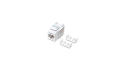 Moduł Keystone RJ45 UTP Cat5e Biały Punch-Down