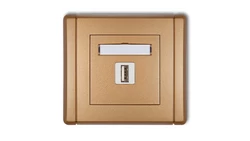 FLEXI Ładowarka USB pojedyncza 5V 2A złoty metalik 8FCUSB-3 GN-FL-78-01-08-00-00